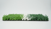 Football Turf